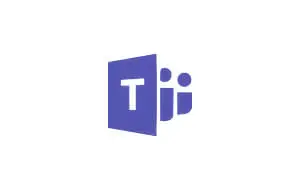 Microsoft Team