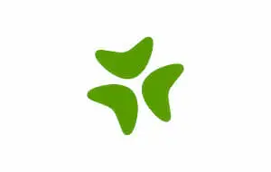 Bloomerang